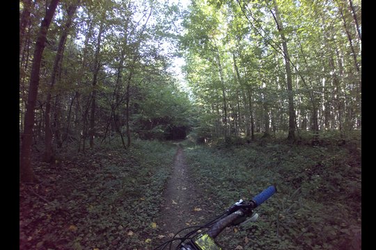 Garmin Virb XE Vergleichsfoto, Schatten und Sonneinstrahlung im Wald beim Biken
